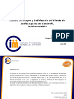 Informe Final de Clientes Cassinelli 2011