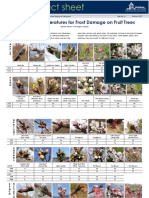 Critical Temperatures Frost Damage Fruit Trees Utah