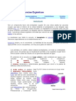 Vacuolas y Sustancias Ergásticas