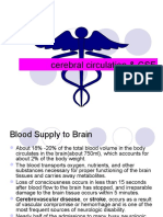 Blood Suppy of Brain