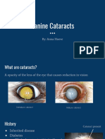 Cataracts