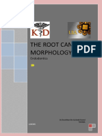 The Root Morphology PDF