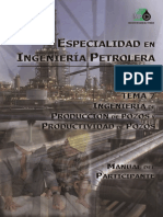 Ingenieria de Produccion y Productividad de Pozos PDF