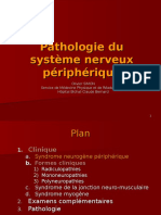 Polynevrite Pathologie Musculaire PRN - IFSI