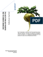 Informe de Harina de Maca en La Panificacion 2 PDF