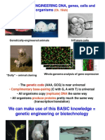 Analysing and ENGINEERING DNA, Genes, Cells and Organisms: (Ch. 19ish)