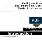 K4 - Cell Junction-Intercellular Communication
