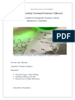 Informe Reconocimiento de Compuestos Organicos