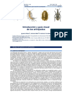 Introducción y Guía Visual de Los Artrópodos