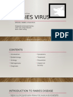 Rabies Virus: An Overview of The Pathogen