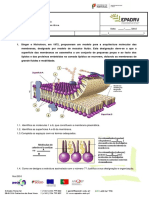 Módulo A2 Teste TPA