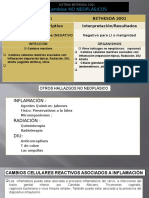 Inflamacion, Radiotrapia, Diu - Atrofia