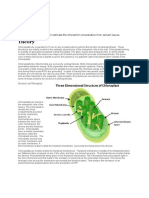 Chloroplast Isolation