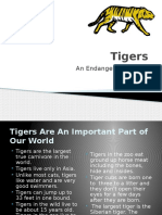 Tigers: An Endangered Species