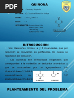 Quinonas PPT FINAL