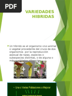 Variedades Hibridas