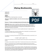 Quantifying Biodiversity Spider Lab Jatun Sacha