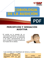 Psicobiología de La Audicion y Visión