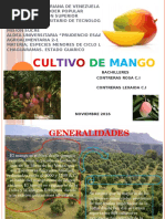 El Mango, Exposicion