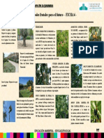 3.proyectos y Arboles Frutales Delantera