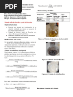 Reporte Benzoína Bencilo Acido Bencilico