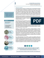 Informe - Arriba de La Meta Del INDEC