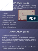 TOXOPLASMA