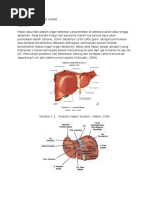 Anatomi Dan Fungsi Hepar