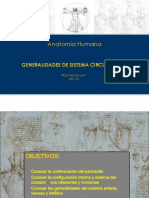 Sistema Circulatorio para Enfermeria