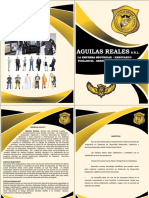 Brochure de Seguridad Aguila