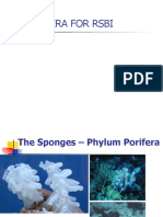 Porifera For RSBI