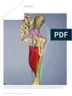 Sciatica3 MBW 20110922 PDF