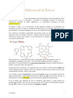 Diagnóstico Diferencial de Ícteros