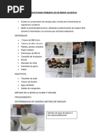 Productividad Primaria en Un Medio Acuático