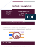 Fecundación e Implantación