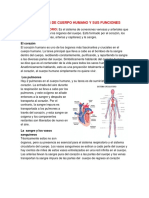 11 Sistemas de Cuerpo Humano y Sus Funciones y Organos