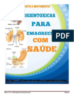 Desintoxicação Do Fígado