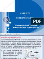 Semana 09 FDC 2017 01 PDF