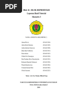 Blok 16: Blok Reproduksi Laporan Hasil Tutorial Skenario 3: Nama Anggota Kelompok 2