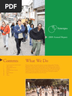 Synergos 2008 Annual Report