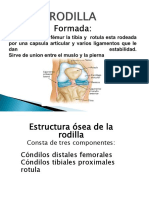 RODILLA