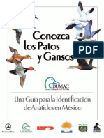 Guia Acuatica PDF