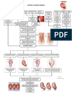 Woc Pathway Placenta Praevia