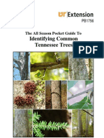 Tree Id Guide