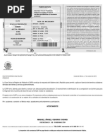 PDF Documento