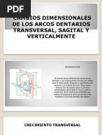 Desarrollo Arcos Dentales