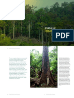 Status Of: Philippine Forests