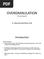 Overgranulation: A. Muhammad Reva A.M