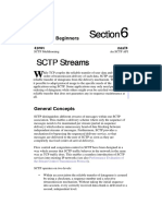 06 SCTP For Beginners SCTP Streams PDF