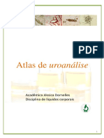 Atlas de Urinálise